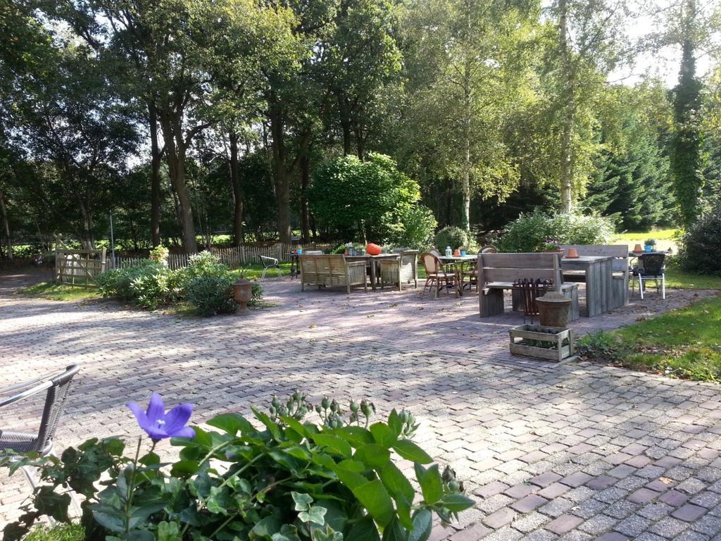 Het Bonte Paard Bed & Breakfast Dwingeloo Bagian luar foto