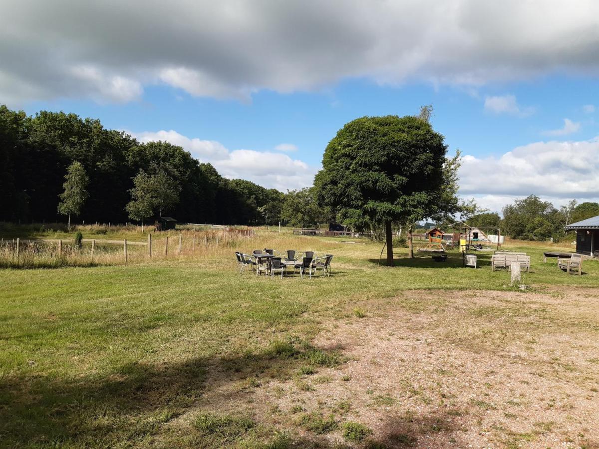 Het Bonte Paard Bed & Breakfast Dwingeloo Bagian luar foto