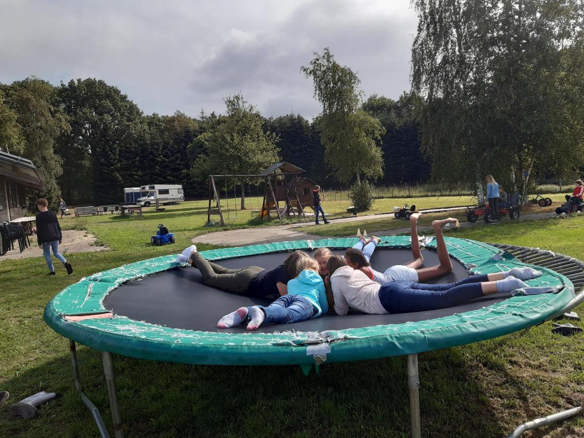 Het Bonte Paard Bed & Breakfast Dwingeloo Bagian luar foto