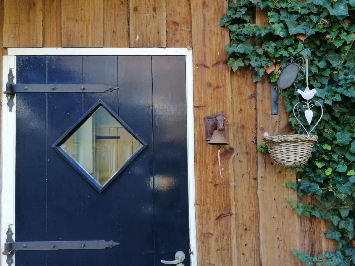 Het Bonte Paard Bed & Breakfast Dwingeloo Bagian luar foto